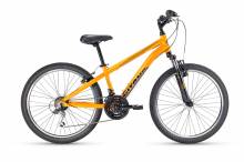 Nos prestations sur le secteur de près du Lavandou vers Bormes les Mimosas 